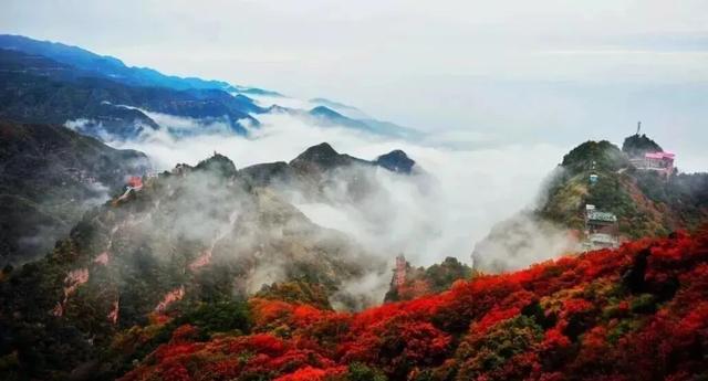 转发免门票!运城最美云海免费等你来!