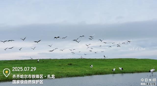 白山黑水在召唤