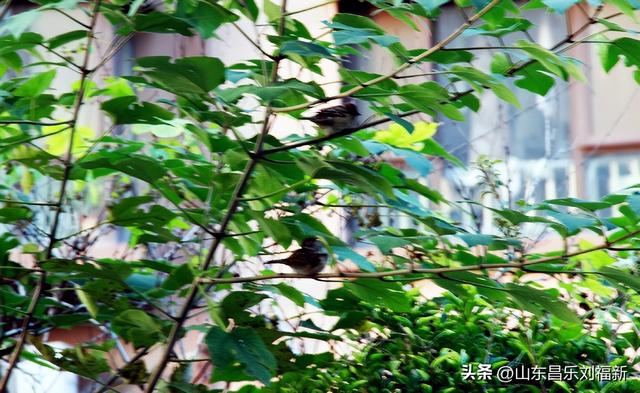 博业金街·华雨超市·博业金都华府·其它