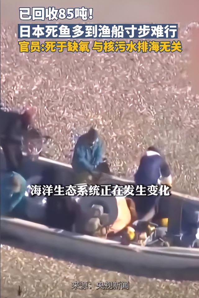 日本现在后悔也来不及了，坚持核污水排海的日本，终于自食恶果