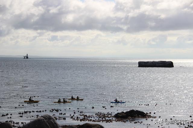 南部非洲：南非开普敦企鹅岛