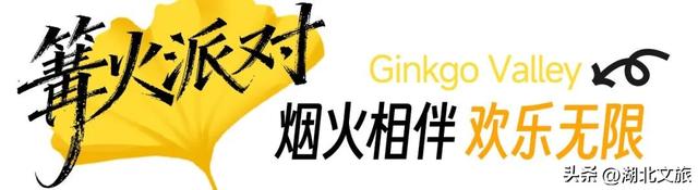 一叶知秋，一梦千年：千年银杏谷"金枝节"邀您入画!