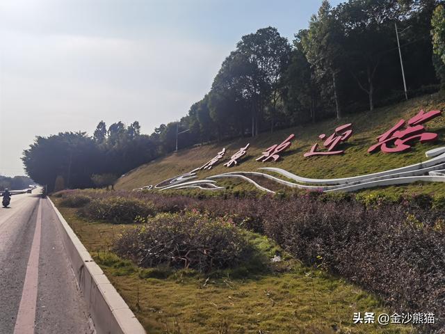从福建漳浦到广东饶平 蜜柚真甜 双龙连续三年千里骑双骑9