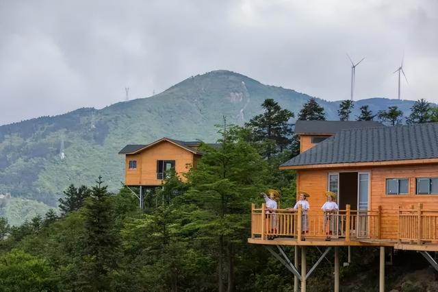 秋冬遛娃“药”新鲜！能吃能玩还能“养”，这条游玩路线一站式拿捏