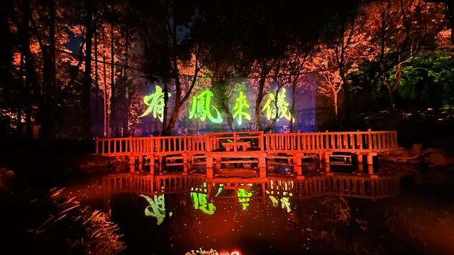 打卡朱家角光影秀,在课植园开启一场奇幻之旅
