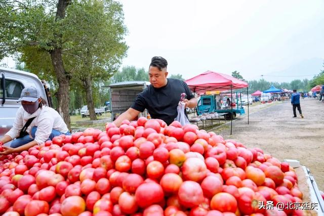 汇聚两地风味！延庆下营大集原来这么好逛