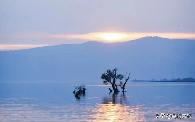 昆明人私藏观鸥地图+观杏！滴滴6折立减35元打车券直接薅