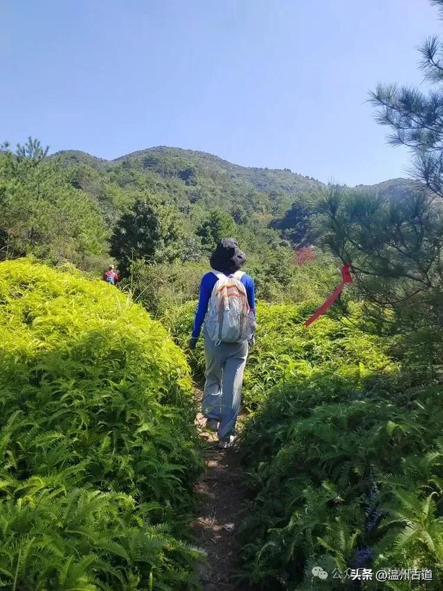 温台交界这条有峡谷山脊、瀑布碧潭、奇峰怪石的徒步路线等你走起