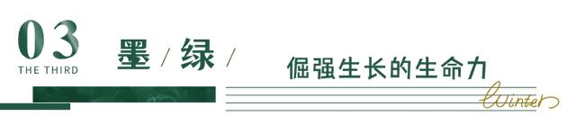 黄山初冬，打翻调色盘的绝美限定 | 皖美冬日