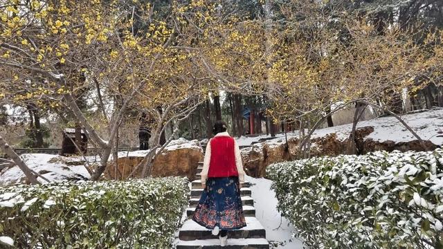 超出片，雪中的蓬莱阁自带浪漫滤镜！