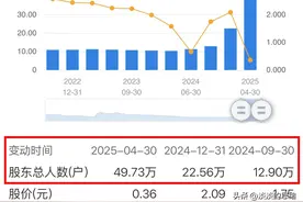 东方集团现股东50万，退市最后一天增加15万，三板代码让他们懵了图片