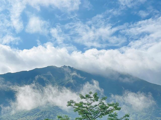 蔡磊为网红照奔赴山海，闯入未开发区域，失联70天后，遗骸找到