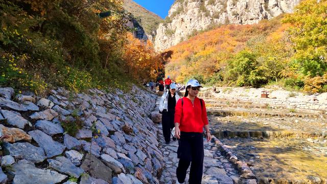 花最少的钱，看最美红叶，邢台佛照山，我们坐火车公交来啦
