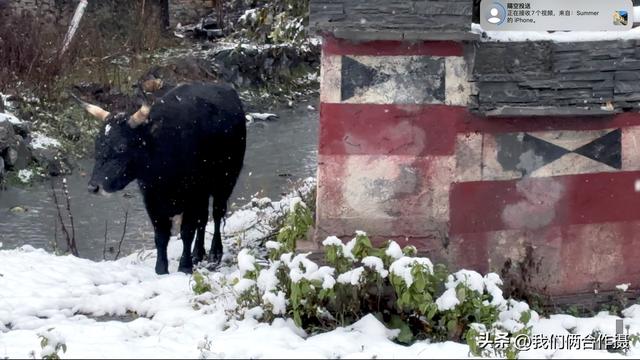 一匹黑马暴雪中压马路，夫妻房车旅居川西，靠充电桩续命！