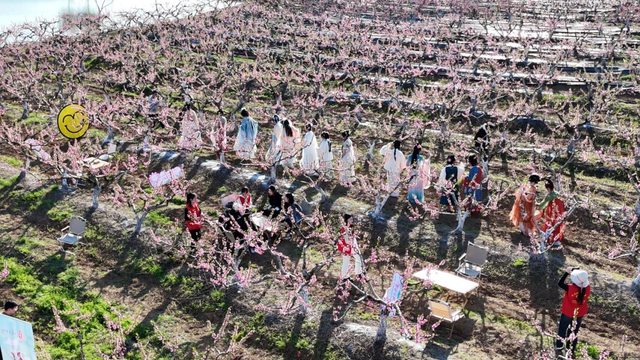 孝昌：许你一场春日“桃花源”