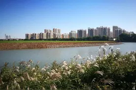 沧州今年将新开放共享绿地21.16公顷图片