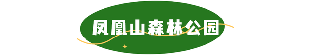 活力宝安城区指南｜山海蓝绿瞬间：山水连城，绿动宝安！