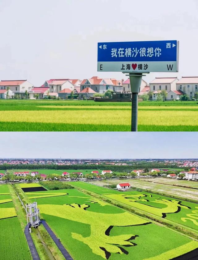 上海崇明岛≠全属上海！10个本地人8个搞错的冷知识，真相离谱！