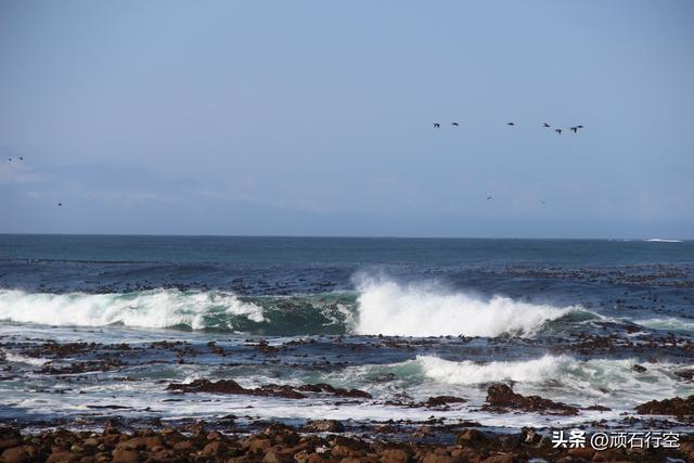 南部非洲：南非好旺角