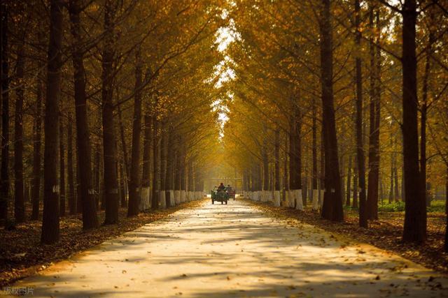 山东和江苏交界处的一个县，拥有3000多年的历史，低调的宝藏小城