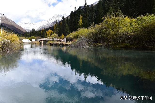 深秋走进理小路