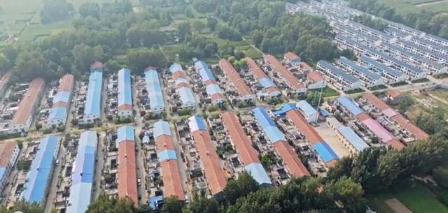 魅力曹县楼庄镇