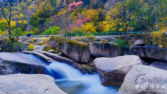 【摄影报道】张家川县：游丝路大关山 品诗意花园