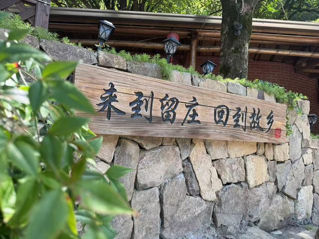 小院变景 韵满天目