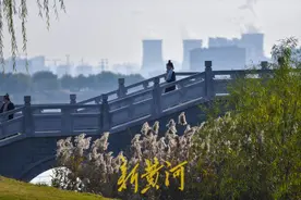 山水相伴初冬 华山美景入画来图片