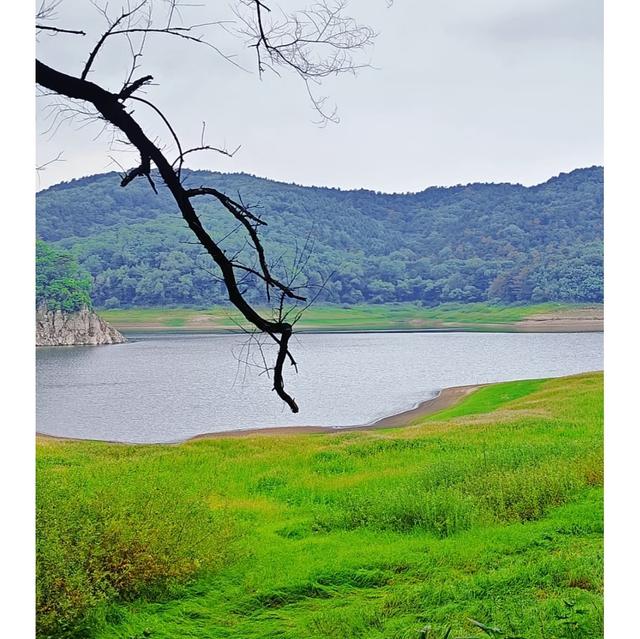 我是上海人，去萨尔许草原踩脏小白鞋，看星星尝手抓羊肉很新鲜