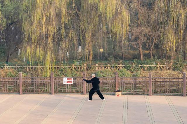 未央之秋，共赴一场金色约会