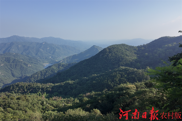 鸡公山风景区：暑期清凉引客来 文旅融合促发展