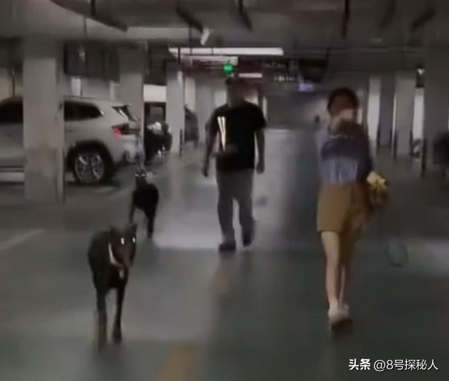 江苏杜宾犬飞扑幼童：事情已了结，当地人透露更多，女子身份可疑