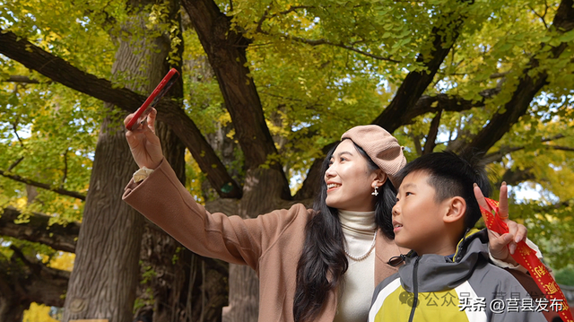 杏好遇见，刚刚好！