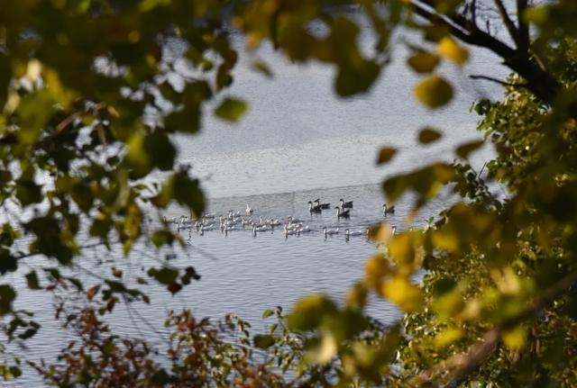 一键收藏!明光南部2025年秋景大赏