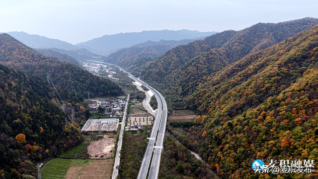 【东方微笑 多彩麦积】党川之秋：在麦积山林间，邂逅一场色彩与公路的交响