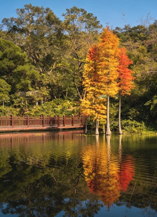 广州人逛了江门和中山，直言不讳：江门和中山人根本是两种活法！