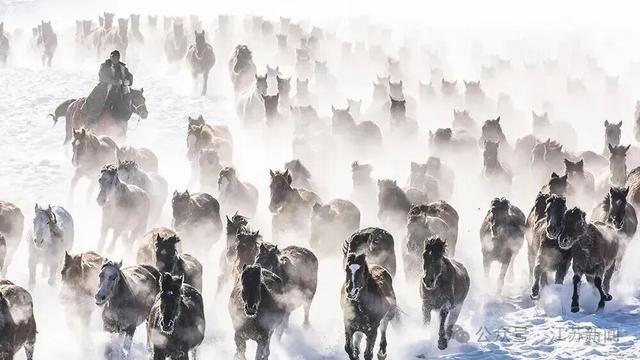 官宣：所有泰州人免费！江苏其他城市也有福利！