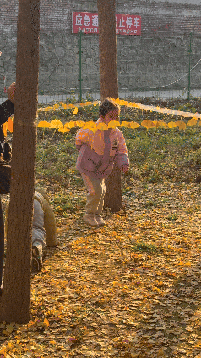 长治的金秋，何处最美？