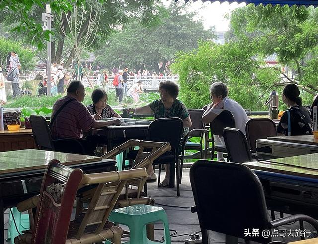 成都主城区老牌公园，最适合乘凉避暑，超级舒服，地铁公交直达！