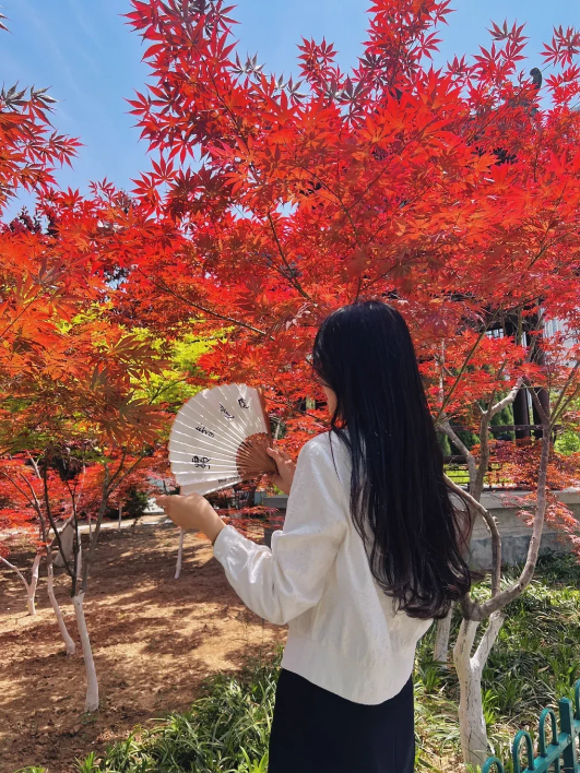 临沂「红杉」「红枫」浓度拉满，出片率100%