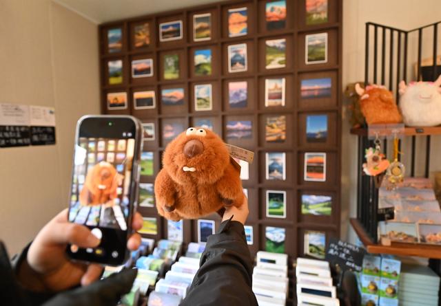 四中全会精神在基层丨四川甘孜：从观光到深体验高原文旅的“诗与远方”