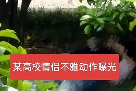 太辣眼！网传高校情侣在塑雕旁上演不雅行为，视频曝光！学校回应图片