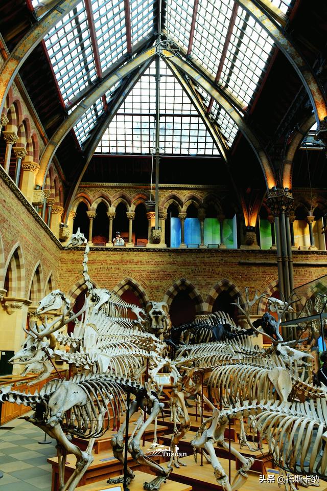 到了牛津大学，应该这样玩儿