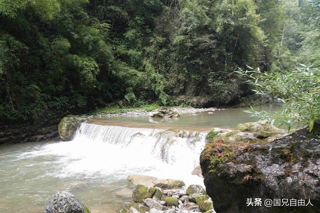 “渝黔生物基因库”黑山谷游记