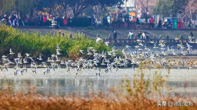 “万千气象看四川·文旅融合发展”系列主题新闻发布会德阳专场举行