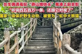 女子爬莽山偶遇“蛇中大熊猫”，竟淡定合影 引网友惊呼：太危险了图片