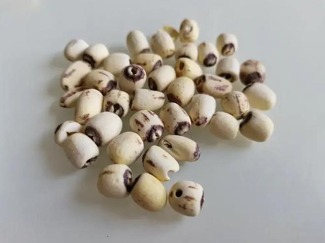 这种应季食物，高碳水却低 GI，三高也能放心吃！错过后悔一年