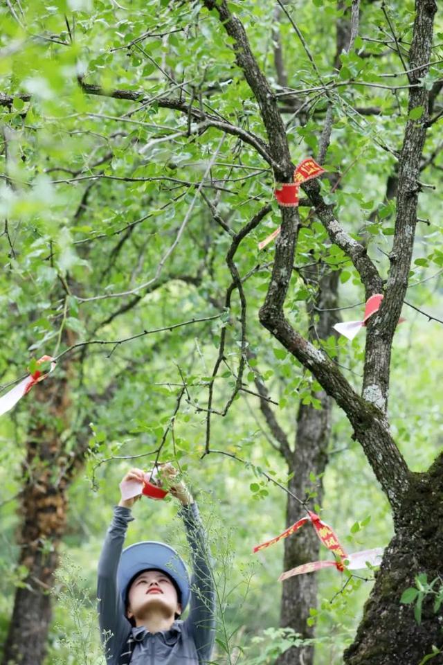 “山村收菜计划”再升级！杭城一批亲子家庭上周末驱车200公里赶到这个海拔600多米的小山村……