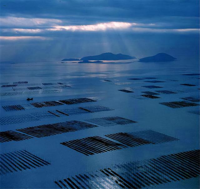 这是油画还是实景？太美太美啦！！